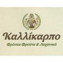 01 kallikarpo logo