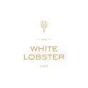 01 whitelobster logo
